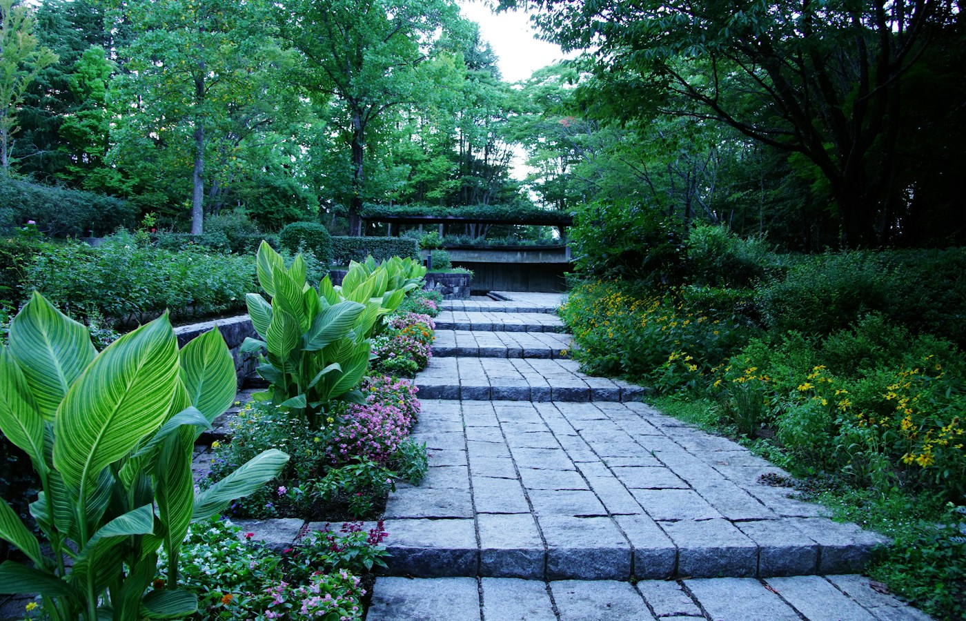 Camino de piedra entre plantación madura en un jardín renovado